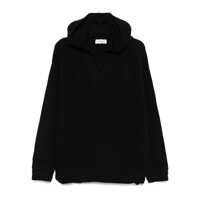 Pulovere LANEUS Laneus Sweaters