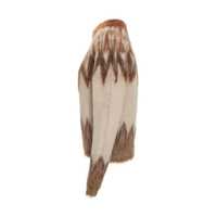 Imbracaminte Isabel Marant Dama pagina 9 - Pulovere Isabel Marant Isabel Marant toile Jacquard Sweater In Mohair Marant toile BROWN Femei (BM 18809349) - B-mall.ro