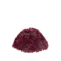 Palarii Alanui Hats Femei