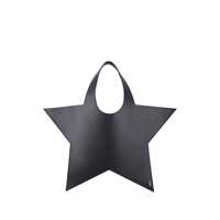 Genti de mana Coperni Star Tote Femei