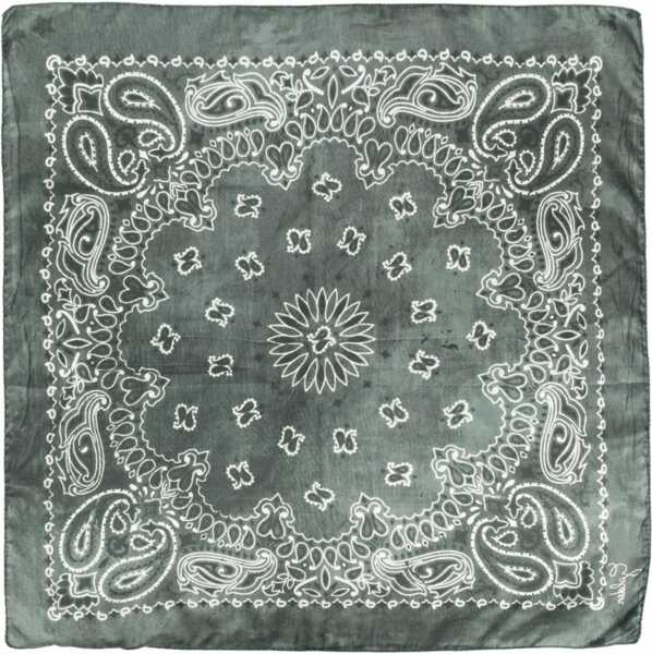 Esarfe Golden Goose Scarf With Paisley Pattern GREEN Barbati (BM 18930904) 3