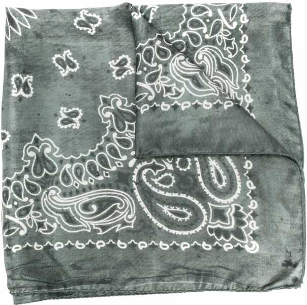 Esarfe Golden Goose Scarf With Paisley Pattern GREEN Barbati (BM 18930904) 1