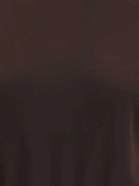 Pulovere PETAR PETROV Short sleeve wool Sweater EBONY WOOD Femei (BM 18967969) 4