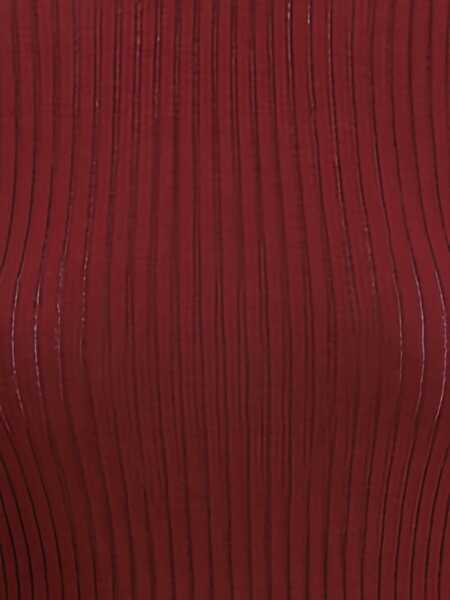 Topuri SA SU PHI Ribbed knit Top BORDEAUX Femei (BM 18968089) 5