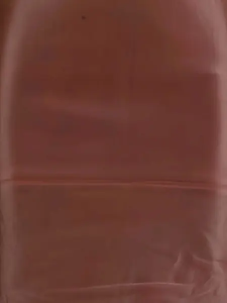 Fuste PETAR PETROV Fitted pencil Skirt MASAI Femei (BM 18968119) 5