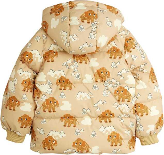 Jachete MINI RODINI Windbreaker Jacket MULTICOLOUR Fete (BM 18969037) 2