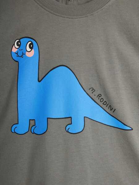 Tricouri MINI RODINI Brontosaurus T-Shirt GREY Baieti (BM 18969094) 3
