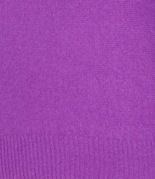 Pulovere ESSENTIEL ANTWERP Essentiel Antwerp Sweaters PURPLE Femei (BM 19000893) 3