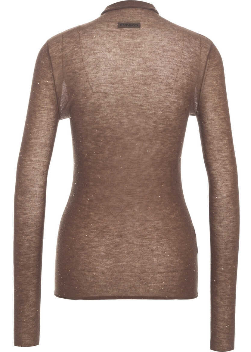 Maiouri Pinko Top with turtleneck Brown Femei (BM 19029367) 3