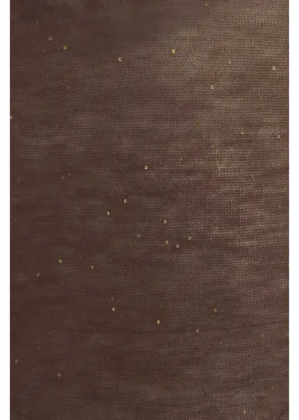 Maiouri Pinko Top with turtleneck Brown Femei (BM 19029367) 4