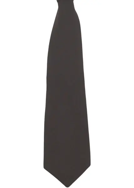 Accesorii Kaos Tie Brown Femei (BM 19029577) 2