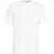 AMARANTO Cotton t-shirt White