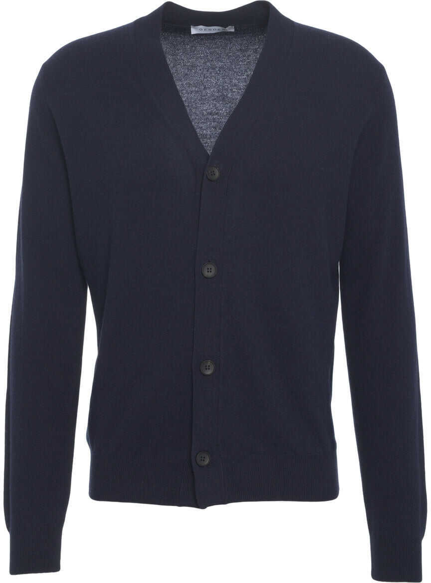 Cardigane Gender Cardigan with V-neck Blue Barbati (BM 19030288) 2