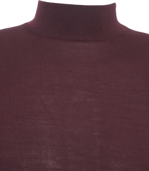 Pulovere Gender Knit sweater with high collar Red Barbati (BM 19030897) 6