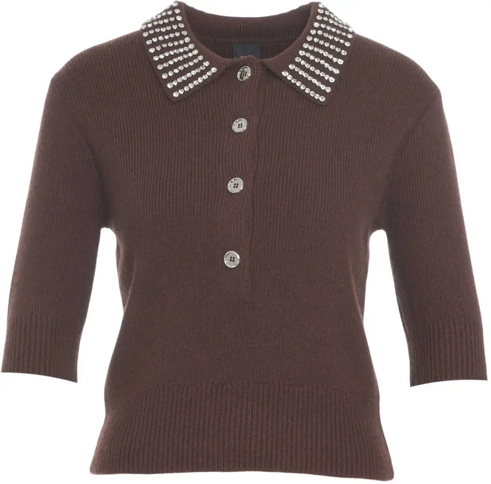 Pulovere casual Pinko Pullover with Rhinestones Emilia Brown Femei (BM 19032631) 2