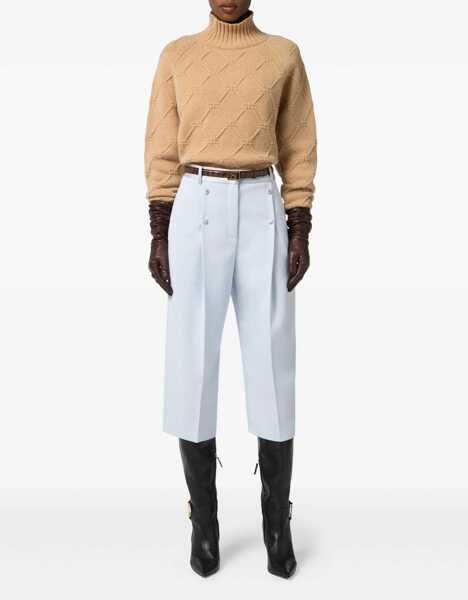 Pulovere Elisabetta Franchi High neck wool sweater Brown Femei (BM 19033738) 2