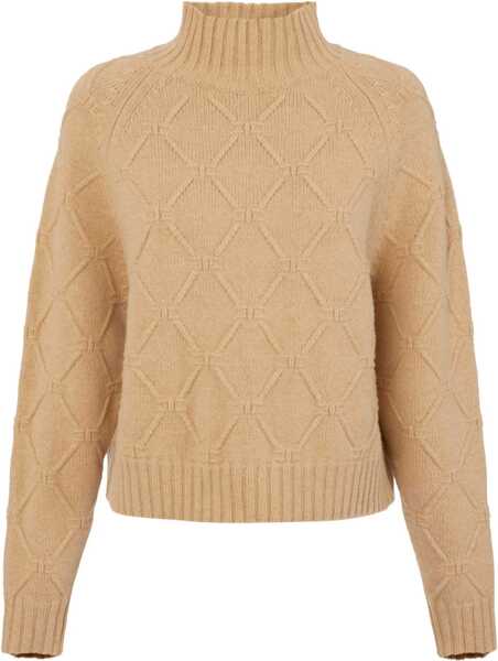 Pulovere Elisabetta Franchi High neck wool sweater Brown Femei (BM 19033738) 1