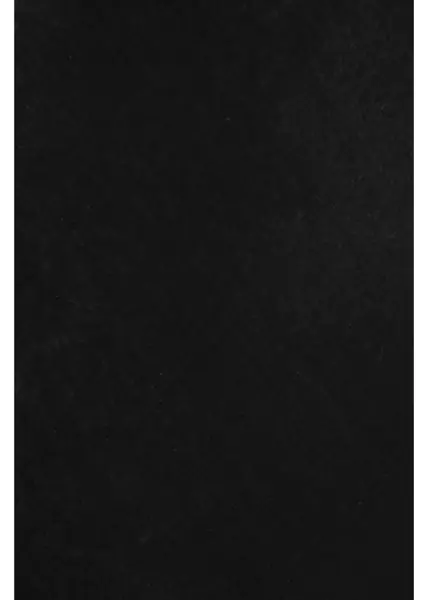 Rochii scurte Herskind Velvet mini dress Vivian Grey Femei (BM 19035472) 4