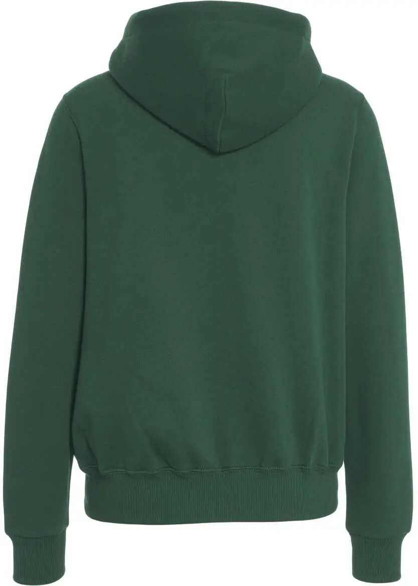 Bluze de trening Ralph Lauren Hoodie with logo embroidery Green Femei (BM 19035736) 3
