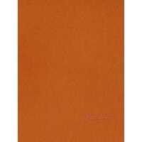 Esarfe Max Mara Dama - Esarfe Max Mara Max Mara Scarves BRONZE BROWN Femei (BM 19089969) - B-mall.ro