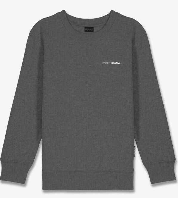 Pulovere Baron Filou Baron Filou Jerseys GRAY Barbati (BM 19111386) 1