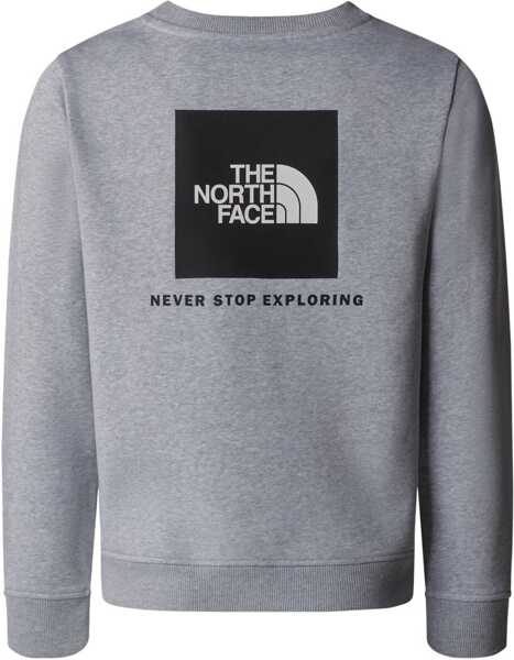 Tricouri The North Face T-Shirt With Crew Logo GREY Baieti (BM 19116983) 2