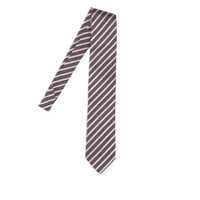 Accesorii Zegna Ties Barbati