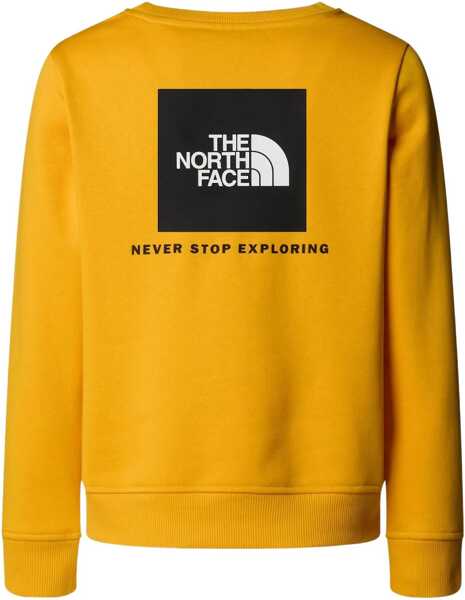 Tricouri The North Face T-Shirt With Crew Logo ORANGE Baieti (BM 19125416) 2