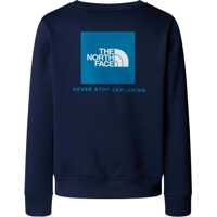 Tricouri pentru Baieti - Tricouri The North Face T-Shirt With Crew Logo BLUE Baieti (BM 19125422) - B-mall.ro