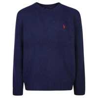 Pulovere Ralph Lauren Sweaters & Knitwear Barbati