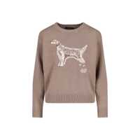 Pulovere Ralph Lauren Sweaters Femei