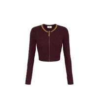 Pulovere Elisabetta Franchi Sweaters Femei