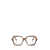 MIU MIU EYEWEAR Miu Miu Eyewear Eyeglasses HAVANA HONEY