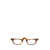 JULIUS TART OPTICAL Julius Tart Optical Eyeglasses TORTOISE