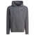 Patagonia "Fitz Roy Icon Uprisal" Sweatshirt Grey