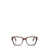 Persol Persol Eyeglasses Brown