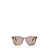 MIU MIU EYEWEAR Miu Miu Eyewear Sunglasses HONEY HAVANA