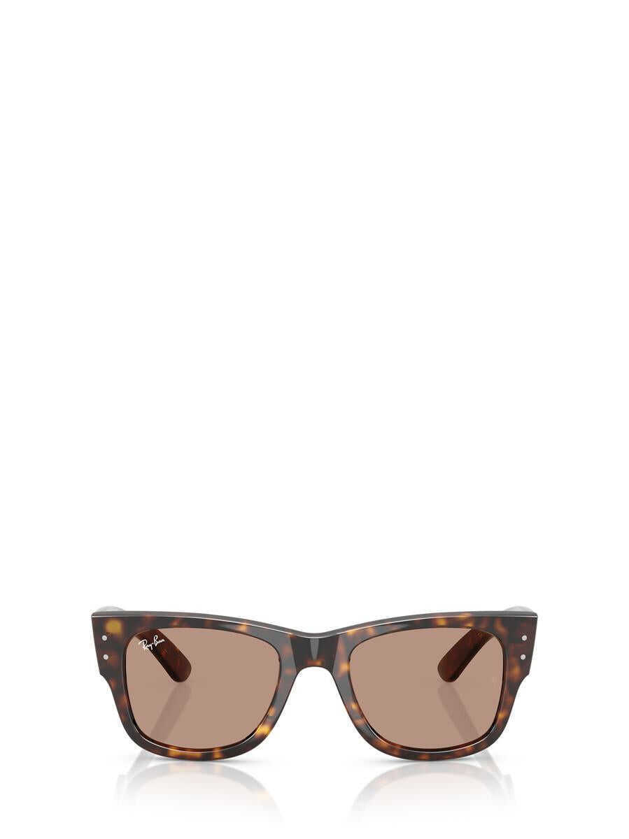 Ochelari de soare Ray-Ban Ray-Ban Sunglasses Brown Femei (BM 19284420) 1