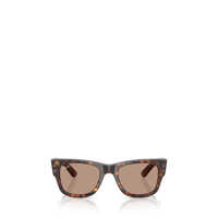 Ochelari de soare Ray-Ban Sunglasses Femei