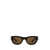 Saint Laurent Saint Laurent Eyewear Sunglasses Brown