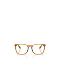 Tricouri Polo Polo Ralph Lauren Eyeglasses Barbati