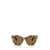 MIU MIU EYEWEAR Miu Miu Eyewear Sunglasses HAVANA HONEY