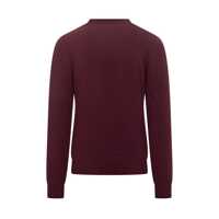 Pulovere FILIPPO DE LAURENTIIS pentru Barbati - Pulovere FILIPPO DE LAURENTIIS Filippo De Laurentiis Filippo De Laurentiis Bordeaux Wool Crew Neck Sweater RED Barbati (BM 19326501) - B-mall.ro