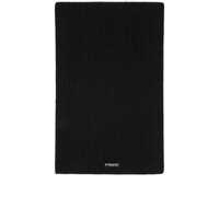 Esarfe Pinko Slovenia Accessories Femei