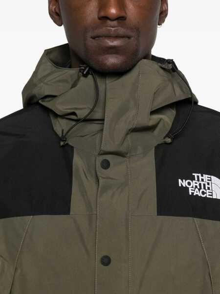 Jachete The North Face GORE-TEX Mountain Jacket NWTPEGRN/TNFBLK Barbati (BM 19348769) 5