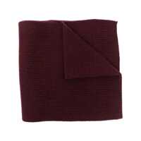 Tricouri Polo Polo Ralph Lauren Scarfs Barbati