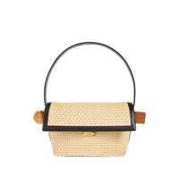 Genti de mana Jacquemus Handbags. Femei
