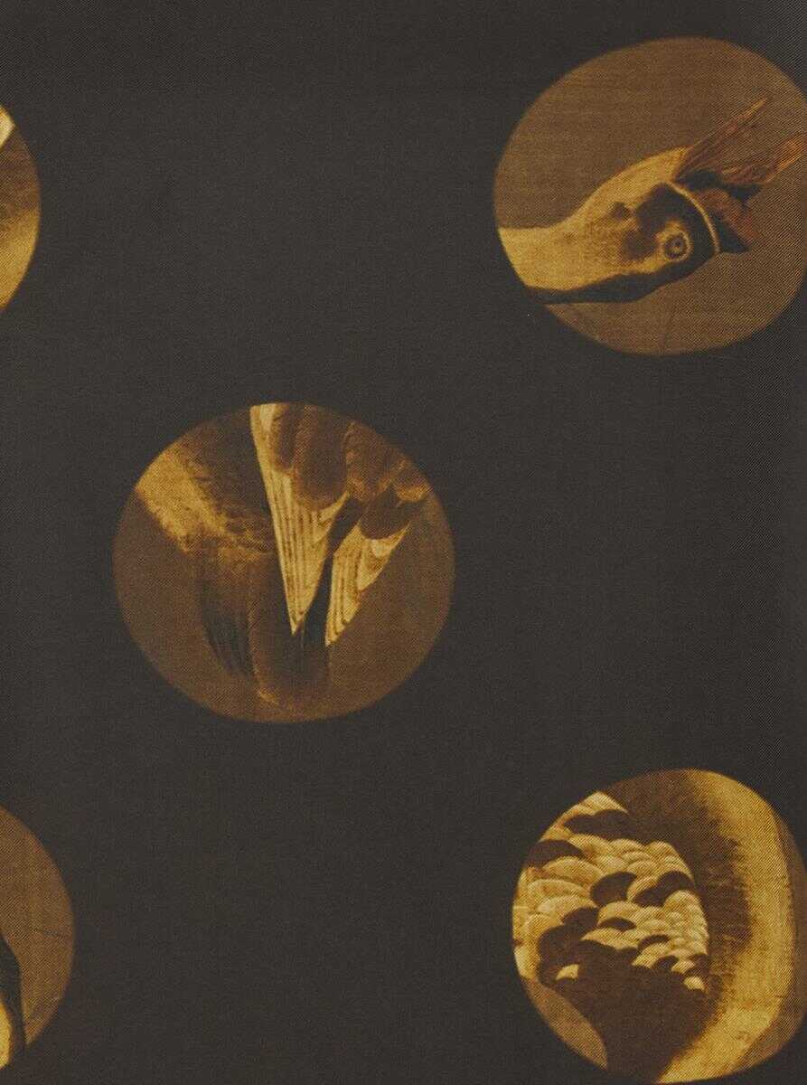 Rochii UMA WANG Anaya Brown Sleeveless Dress With Round Neck And All-Over Motif In Viscose Blend Woman BROWN Femei (BM 19401633) 3