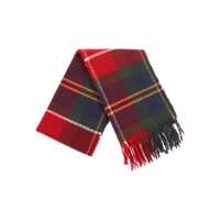 Esarfe Barbour Dama - Esarfe Barbour DEANNA TARTAN SCARF Multicolor Femei (BM 19404195) - B-mall.ro