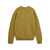 Carhartt "Alten" crewneck sweater Green